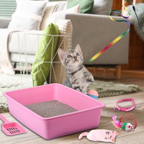 Kitten Starter Kit Pequeño con Arenero y Accesorios miniatura 6