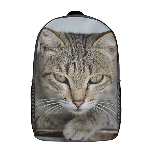 Sac à dos chat 17 pouces mixte pour école et loisirs ados