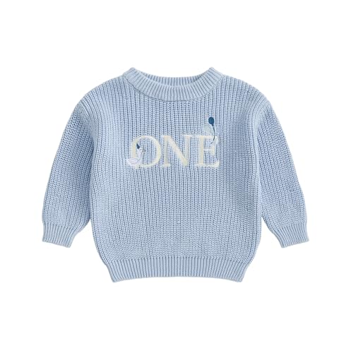 Baby Boy Girl 1st Birthday Outfit One Silly Goose Chunky Knit Sweater Knitted Shirt Sweatshirt Fall Winter Clothes