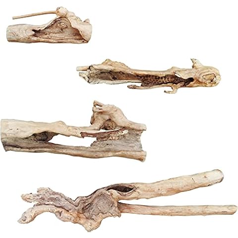 Java Wood Natural Log for Terrariums Cover