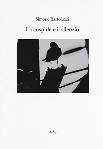  La cuspide e il silenzio