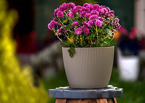 Home Garden Ornaments Decorative Small Plant Pots Indoor - Striped Indoor Plant Pot for Home and Garden (Diameter 15.5cm, Taupe) - Image 3