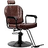 Allzweck-Salon-Friseurstuhl, Braun mit Titelfunktion und Hydraulischem Hebesystem für Haarschneiden, Styling, Shampoo, Wachsen, Make-up