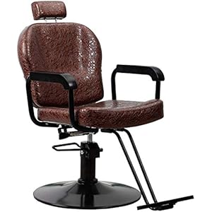 Allzweck-Salon-Friseurstuhl, Braun mit Titelfunktion und Hydraulischem Hebesystem für Haarschneiden, Styling, Shampoo, Wachsen, Make-up