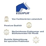 EQUIPUR - zink forte - Sicher versorgt mit organischem Zink und Selen, 1000 g Pellets in Dose