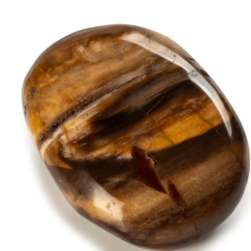 KALIFANO Petrified Wood Palm Stone with Healing & Grounding Properties