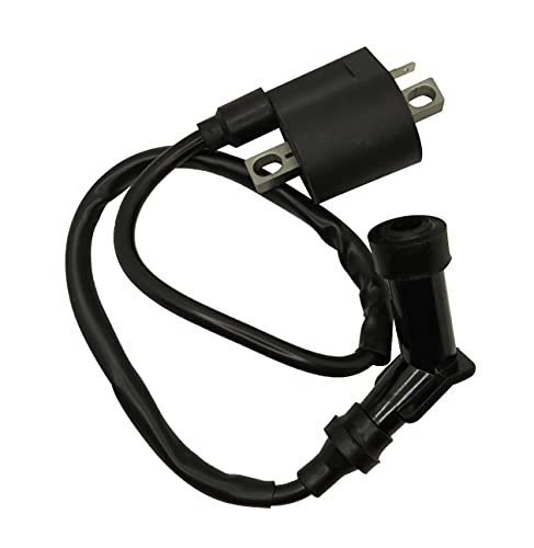 Aitook Ignition Coil Compatible With Polaris Trail Boss 330 2003-2011 #TOP6