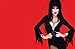 ELVIRA MISTRESS OF THE DARK PHOTO BIOGRAPHY HC