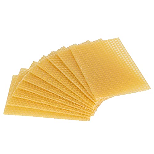Beekeeping Beeswax Wax for Polishing Mahogany Furniture 10Pcs