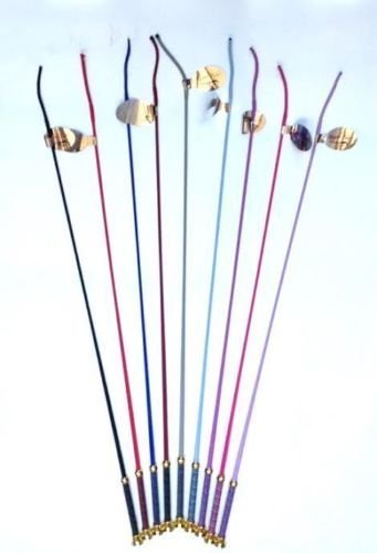 Knight Rider Colourful Dressage/Schooling Whip 100cm Baby Blue