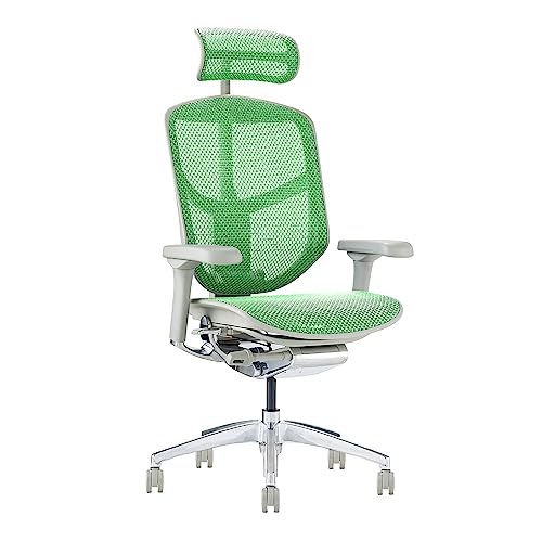 エルゴヒューマン2(ergohuman2) オフィスチェア フレーム:グレー メッシュ:グリーン ヘッドレスト付き エンジョイ ハイタイプ EJ2-HAM-GF-GN