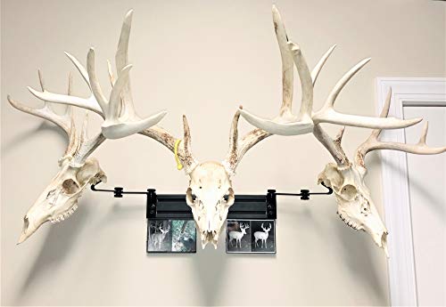 RACK TRACK – European Skull Mounting Kit - 18” Kit #3 – (3) Pivoting Skull Mounts (Base Kit+(2) Photo Frame Mounts)