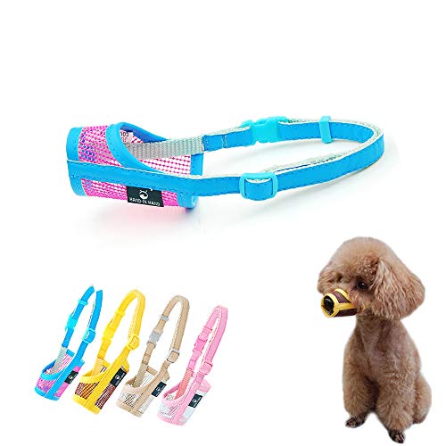 GerRiT pbV}Y ̌ ̃}XN ݂h~ ʖi K ʋC  ی pP piiCXLj