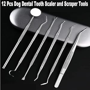 Teeth-Cleaning-Kit-Dog-Plaque-Tartar-Remover-Tools-Pet-Dental-Tooth-Scaler-and-Scraper-Silicone-Finger-Toothbrush-for-Puppy-Cats-Tooth-Pick-Stone-Remover-Dogs-Oral-Care-Hygiene-Cleaning-Tools-12Pcs - Cucciolini Doodles   Teeth-Cleaning-Kit-Dog-Plaque-Tartar-Remover-Tools-Pet-Dental-Tooth-Scaler-and-Scraper-Silicone-Finger-Toothbrush-for-Puppy-Cats-Tooth-Pick-Stone-Remover-Dogs-Oral-Care-Hygiene-Cleaning-Tools-12Pcs