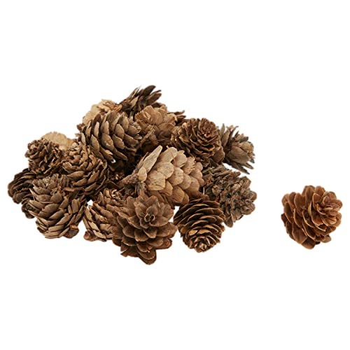 Christmas Wreath 12 inch DIY Kit with 2 Craft Foam Rings, Burlap Ribbon, Berries, Pinecones (75 Pieces Set)