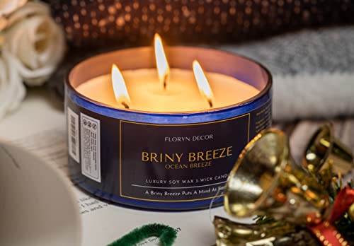 Image of Floryn Decor 3 Wick Candle | Candle for Home Decoration | Luxury Candle for Home Decor | | Burning Time - 40 Hours | Soy Wax Candles Scented (Ocean Breeze)