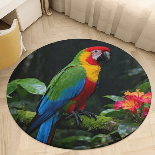 �v���b�V�� �R�[���� �x���x�b�g ���E���h �G���A���O 2�t�B�[�g �����^ 0.5 cm �R���S�E�C���R �I�E�� �t���A�}�b�g ����~�� TPR���n ��p�C�� ����\ �E�F���J���t�����g�h�A�}�b�g �Q�� ���֑���
