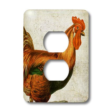 Cache 2 prises Multicolore 3dRose interrupteur plaque de decoration maison