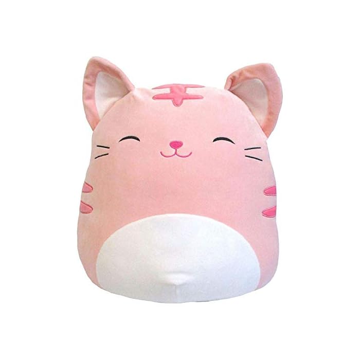 tabby squishmallow
