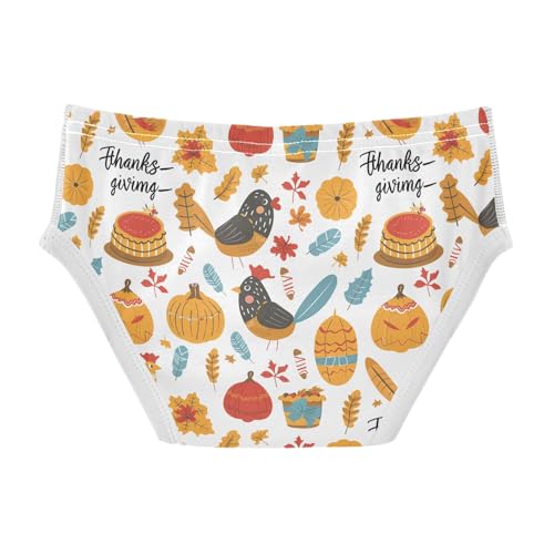 visesunny Boys Cotton Underwear Thanksgiving Chicken Autumn Printed Toddler Soft Training Briefs Size 2T-8Y for Kids2