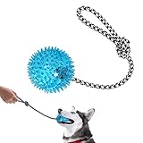 VECELA Pelota de Juguete para Perros, Pelotas para Perros Natural y no Tóxico Juguete de Limpieza para Dientes Duros Indestructibles para Perros Medianos Grandes