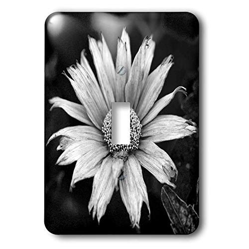 Interrupteur décoratif macro tournesol noir et blanc pour remplacer vos plaques