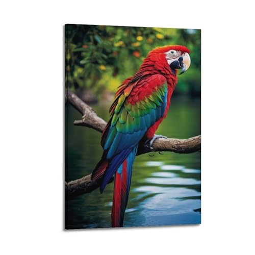 Ara coloré sur la branche poster suspendu 60x90cm pour mur vide salon