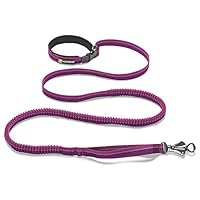 Algopix Similar Product 6 - RUFFWEAR  Roamer Leash Purple Dusk