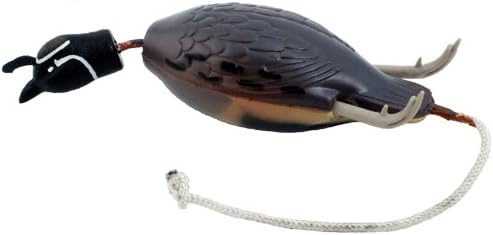 Dokken Dead Fowl Gambel's Quail
