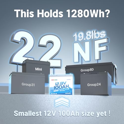 Image of Redodo 12V 100Ah Ultra-Mini LiFePO4 Bluetooth Deep Cycle Battery 2 Pack