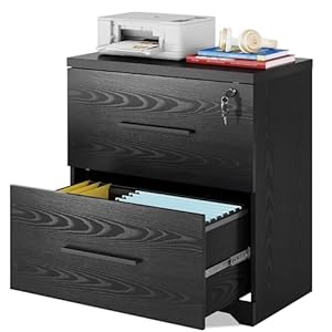 DEVAISE 2-Drawer Wood Lateral File Cabinet with Lock for Office Home, Black