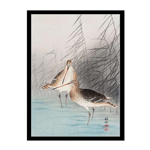 HSHYXARTYX Printed Canvas Painting Wall Art Two bar tailed godwits