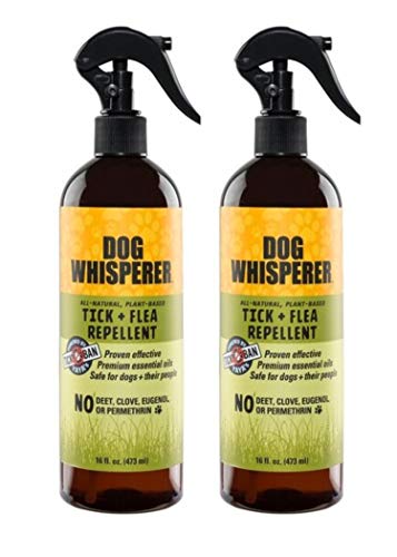 Dog Whisperer Tick + Flea Repellent, All-Natural, Extra Strength, Effective on Dogs and Their People 16 oz (2-Pack)