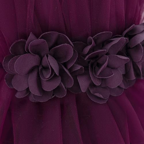 Girls Tulle Flower Dress Sleeveless Ruffled Birthday Party Gown for Toddlers and Kids Elegant Formal Wear3