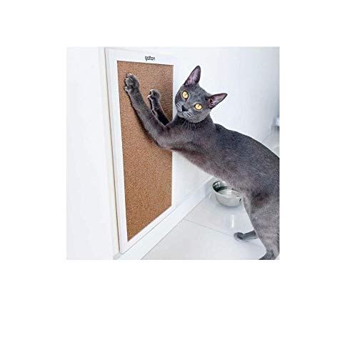 Gatton Arranhador Para Gatos Arranhador De Carpete Brinquedo Com Catnip Modelo Ronrock Branco