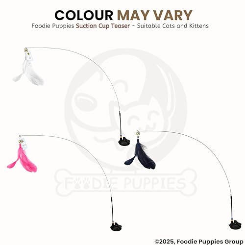 Image of Foodie Puppies Cat Teaser Playing Wand with Feather (Suction Cup Cat Teaser) for Cats and Kittens | Vibrant Interactive Bell Hanging Spring Wand | Fun Teasing, Catching, Chasing and Bonding Play