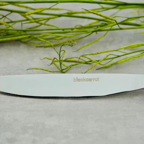 Image of BLACKCARROT Stainless Steel Silver Set of 6 | 6mm Thickness Dinner Knives | Premium Stainless Steel for Dining Table | Durable & Elegant Cutlery