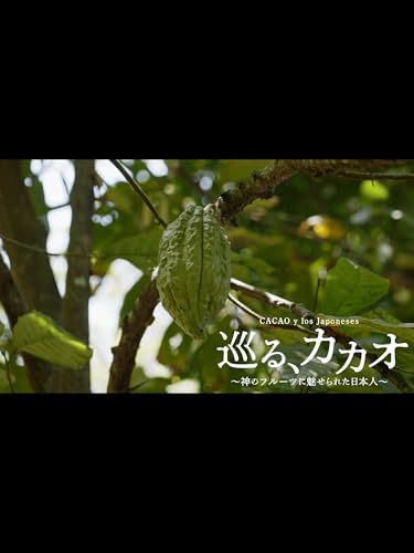 巡る、カカオ 〜神のフルーツに魅せられた日本人〜 - 和田 萌, 小方真弓, 田口愛, 堀淵清治, 南雲主于三, 土居恵規, ナレーション:堀ちえみ