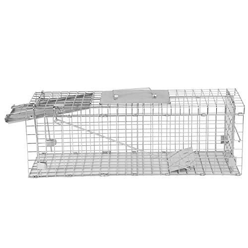 lIȐރlY~QgbvP[WETM}EXSȃLb`