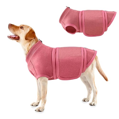 10 Best Anxiety Wrap For Dogs