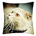 Produktbild OPAKY Dekokissenbezug Star Shining Printed Sofakissenbezug Home Decor