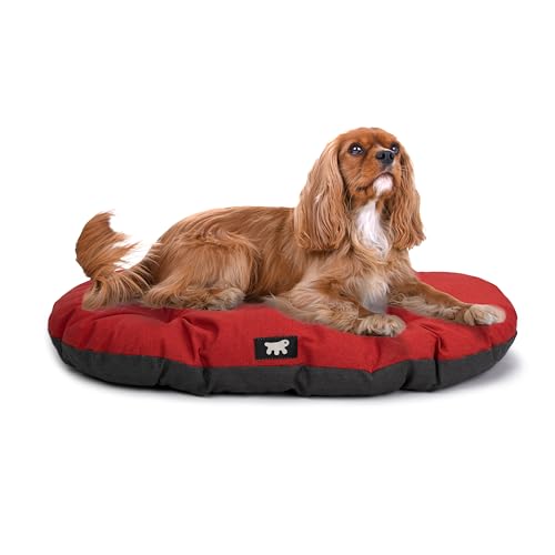 Ferplast Cuccia Cane Relax, Cuscino per cani di taglia media, Cuccia Gatto, Tappetino per cucce e auto -Lavabile - in Cotone con Soffice Imbottitura, 65 x 42 cm. Rosso