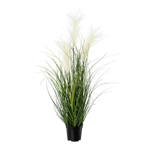 CREATIV green künstliches Pampasgras 76cm im Topf I naturgetreues künstliches Pampasgras Creme-Farben I Ziergras für Innen I hochwertige & dekorative Dekopflanze I Kunstpflanze im Topf CREATIV green künstliches Pampasgras 76cm im Topf I naturgetreues künstliches Pampasgras Creme-Farben I Ziergras für Innen I hochwertige & dekorative Dekopflanze I Kunstpflanze im Topf
