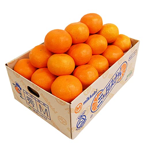 x11x O݂yGizMTCY 4L ( 36O ) OP݂ ݂ JA݂ }G ~J lߑI