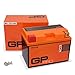 GP-Pro, batteria GEL da 12 V e 11 Ah (tipo: GTZ12S)