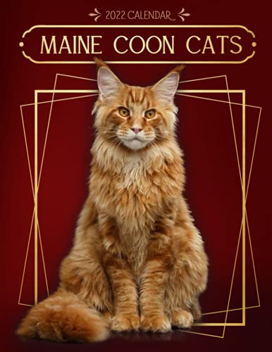 Maine Calendar 2023 Maine Coon Calendar For Sale! - Picclick Uk