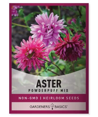 Gardeners Basics Aster Powderpuff Mix Flower Seeds