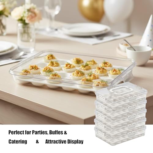 Boîtes de rangement Oocyte premium avec fermeture de sécurité renforcée - 3