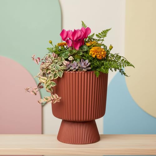 Image of Xtore Bold Pedestal Ceramic Planter Pot for Indoor Plants | Ribbed Elevated Flower Pot for Home, Office Desk & Balcony Decor (Terracotta Red - Planter only)