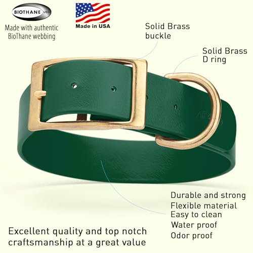Image of Viper Biothane Heavy Duty Waterproof Dog Collar Strong Coated Nylon Webbing w /Solid Brass Hardware Odor-Proof Easy to Clean High Performance Fits Small Medium or Large Dogs, Hunter Green